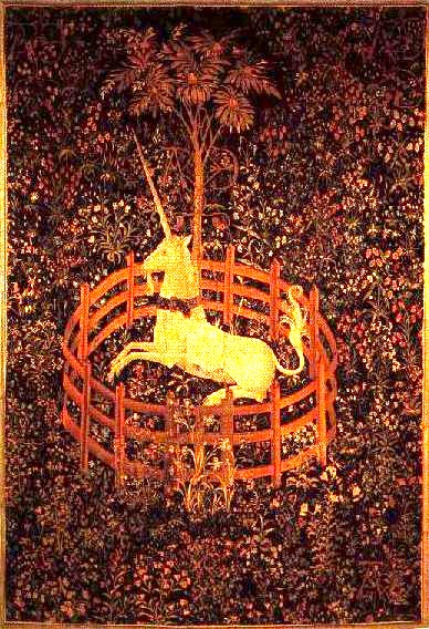 The Unicorn in Captivity